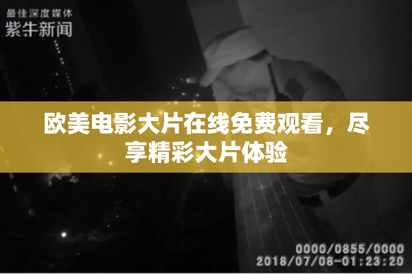 欧美电影大片在线免费观看，尽享精彩大片体验