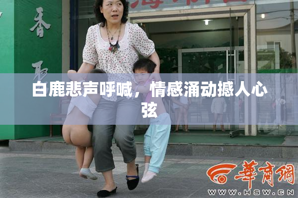 白鹿悲声呼喊，情感涌动撼人心弦