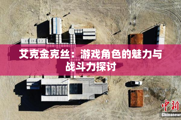 艾克金克丝：游戏角色的魅力与战斗力探讨