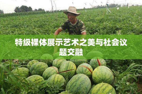特级裸体展示艺术之美与社会议题交融