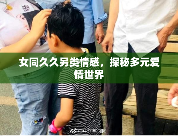 女同久久另类情感，探秘多元爱情世界