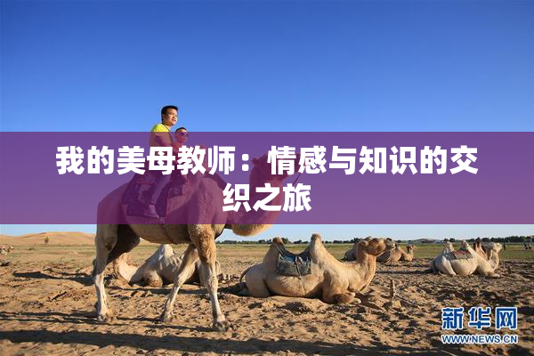 我的美母教师：情感与知识的交织之旅