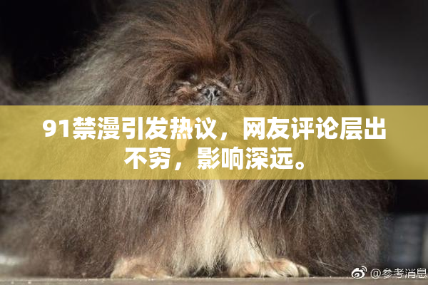91禁漫引发热议，网友评论层出不穷，影响深远。