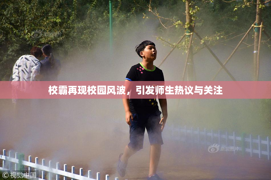 校霸再现校园风波，引发师生热议与关注