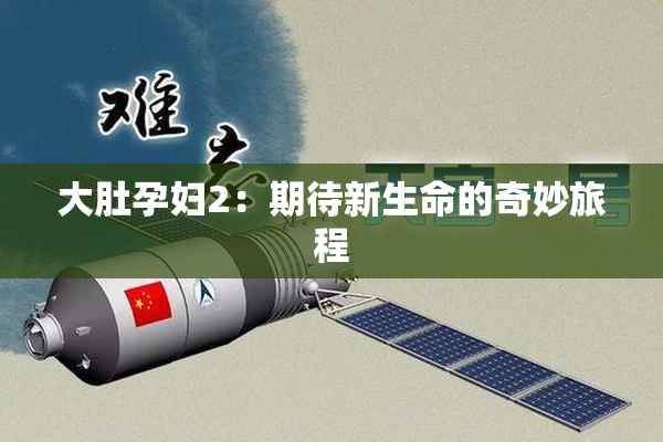 大肚孕妇2：期待新生命的奇妙旅程