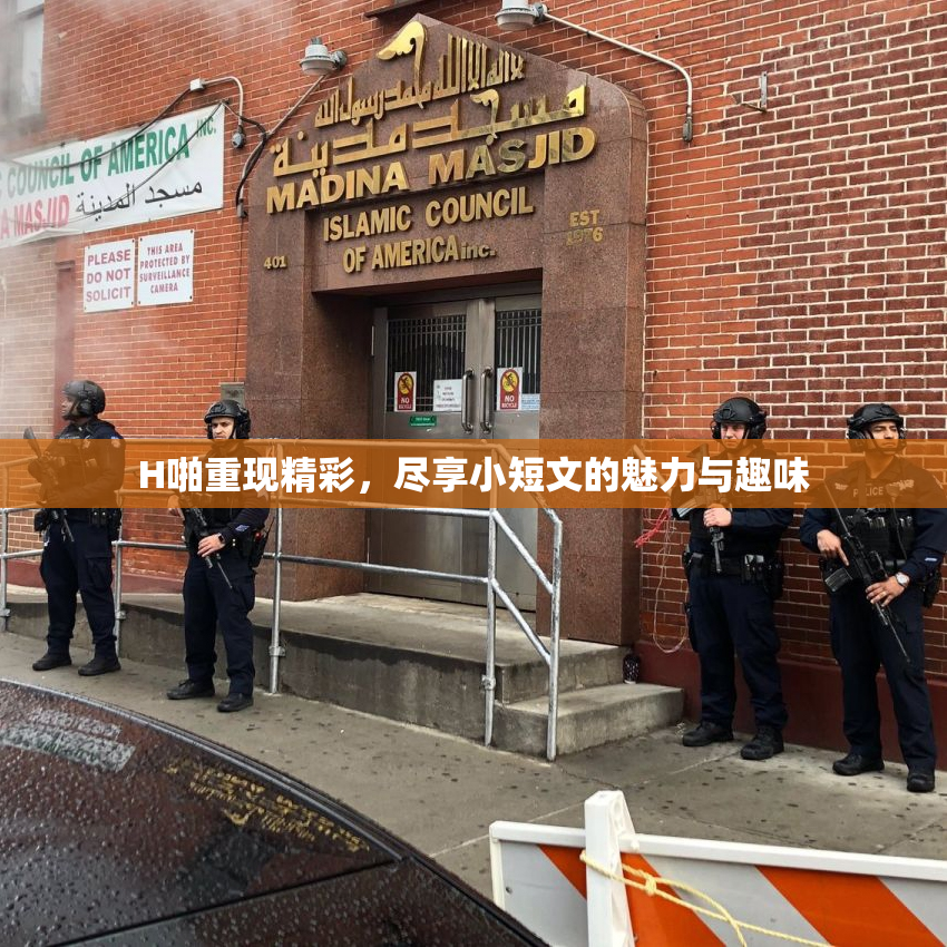 H啪重现精彩，尽享小短文的魅力与趣味