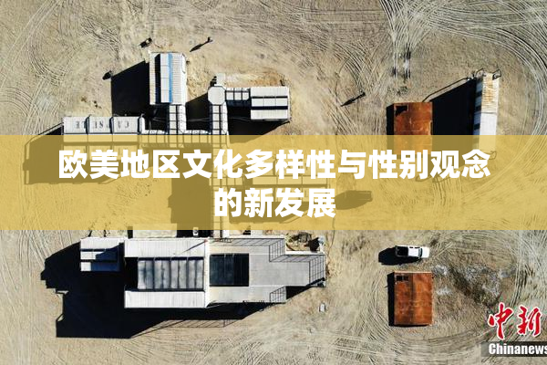 欧美地区文化多样性与性别观念的新发展