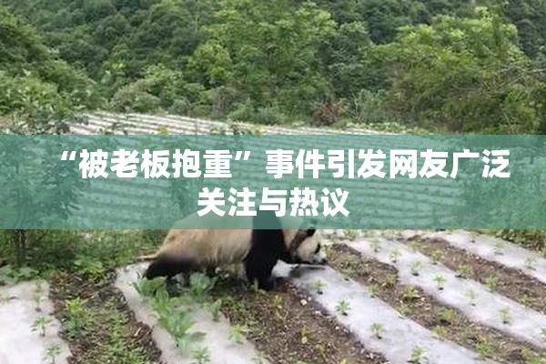 “被老板抱重”事件引发网友广泛关注与热议