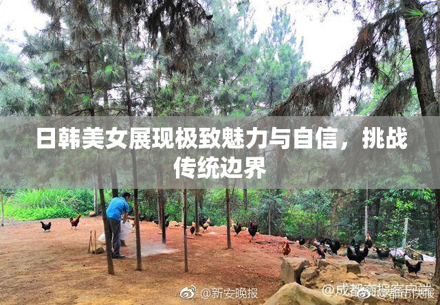 日韩美女展现极致魅力与自信，挑战传统边界