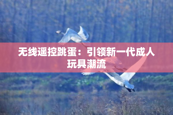 无线遥控跳蛋：引领新一代成人玩具潮流