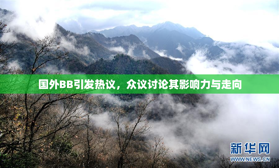 国外BB引发热议，众议讨论其影响力与走向