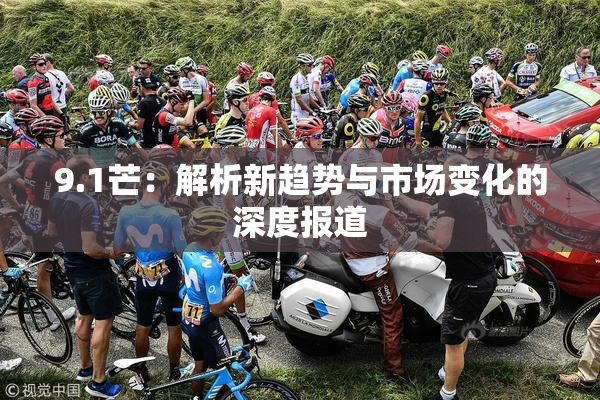 9.1芒：解析新趋势与市场变化的深度报道