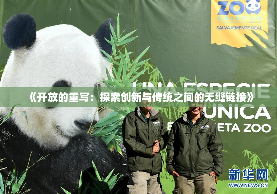 《开放的重写：探索创新与传统之间的无缝链接》