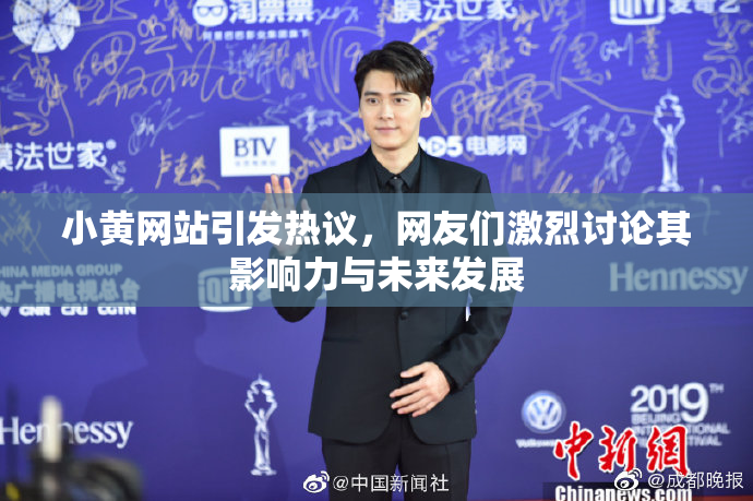 小黄网站引发热议，网友们激烈讨论其影响力与未来发展