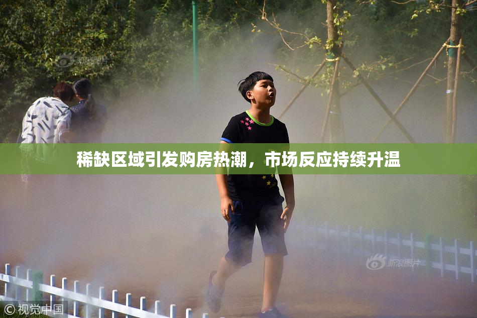 稀缺区域引发购房热潮，市场反应持续升温