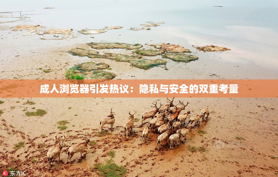 成人浏览器引发热议：隐私与安全的双重考量