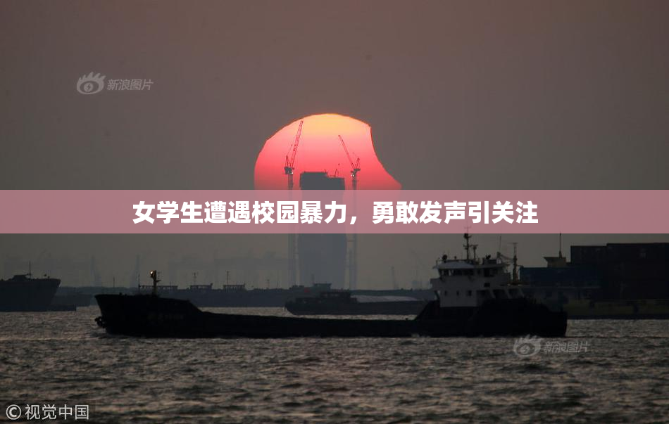 女学生遭遇校园暴力，勇敢发声引关注