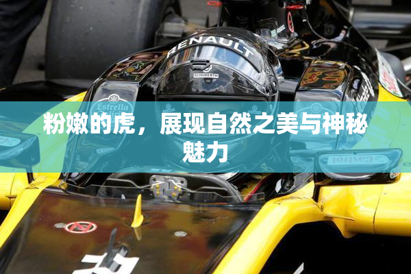 粉嫩的虎，展现自然之美与神秘魅力