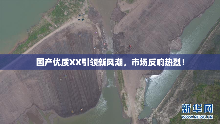国产优质XX引领新风潮，市场反响热烈！