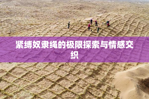 紧缚奴隶绳的极限探索与情感交织