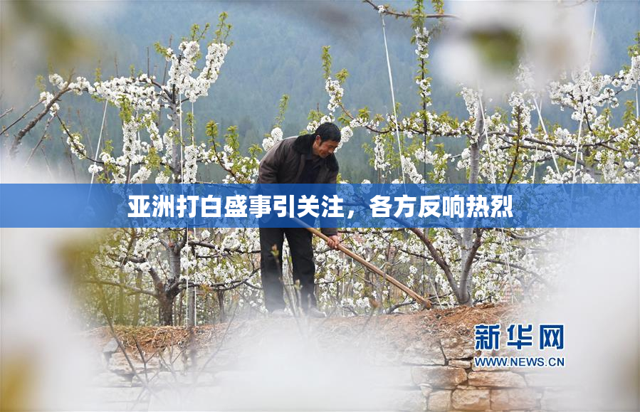 亚洲打白盛事引关注，各方反响热烈