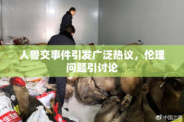 人兽交事件引发广泛热议，伦理问题引讨论
