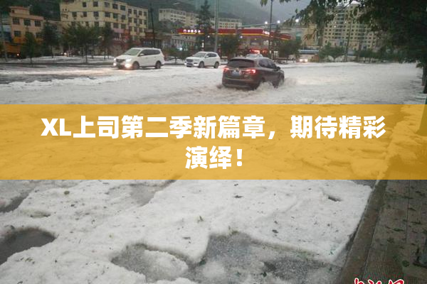 XL上司第二季新篇章，期待精彩演绎！
