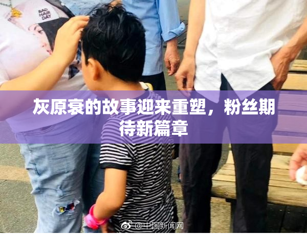 灰原衰的故事迎来重塑，粉丝期待新篇章