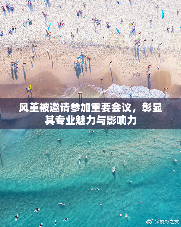 风堇被邀请参加重要会议，彰显其专业魅力与影响力