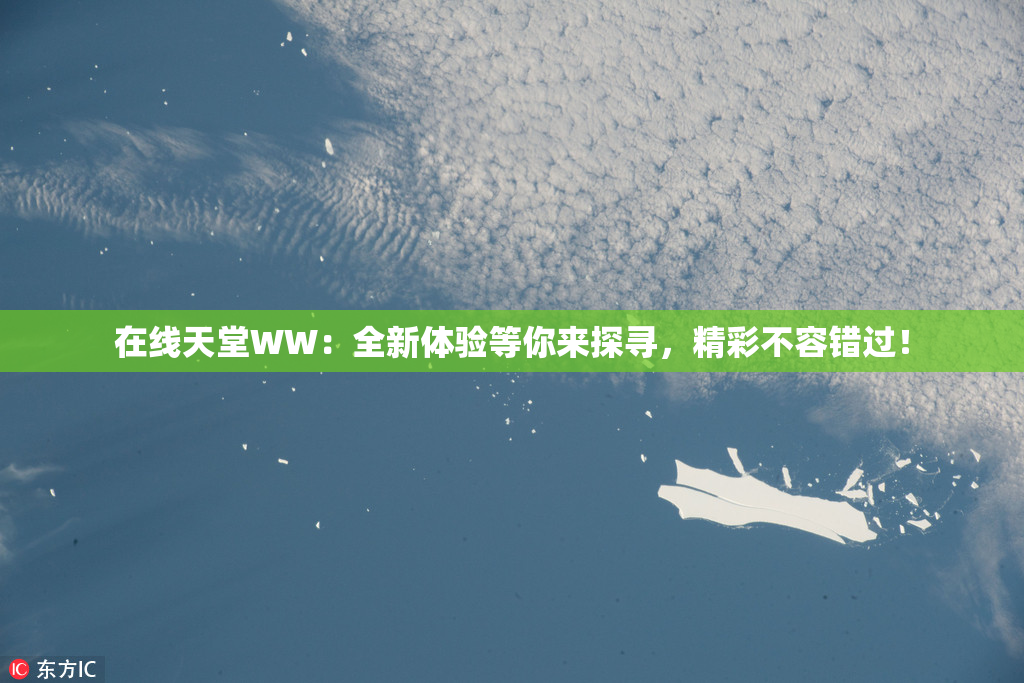 在线天堂WW：全新体验等你来探寻，精彩不容错过！