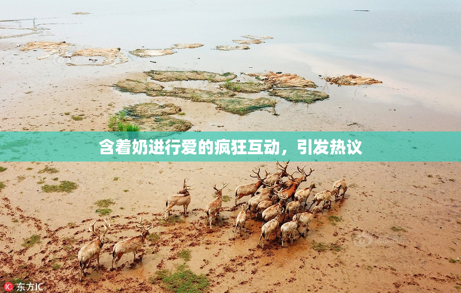 含着奶进行爱的疯狂互动，引发热议