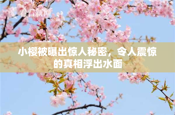 小樱被曝出惊人秘密，令人震惊的真相浮出水面
