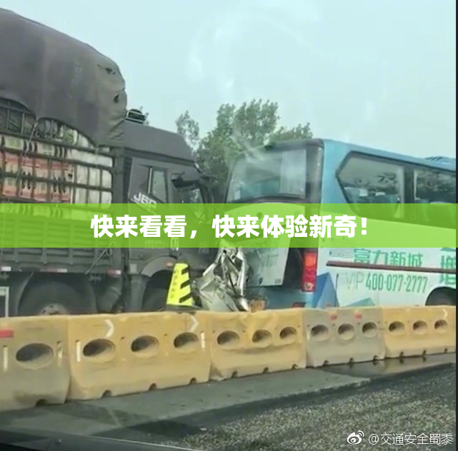 快来看看，快来体验新奇！