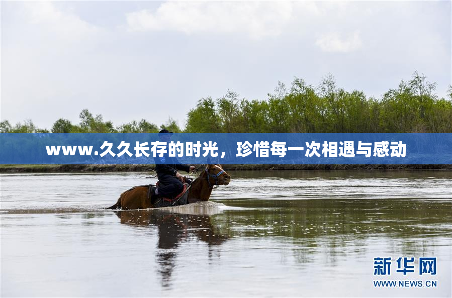 www.久久长存的时光，珍惜每一次相遇与感动