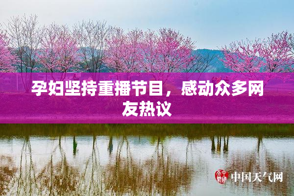 孕妇坚持重播节目，感动众多网友热议