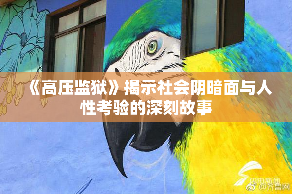 《高压监狱》揭示社会阴暗面与人性考验的深刻故事