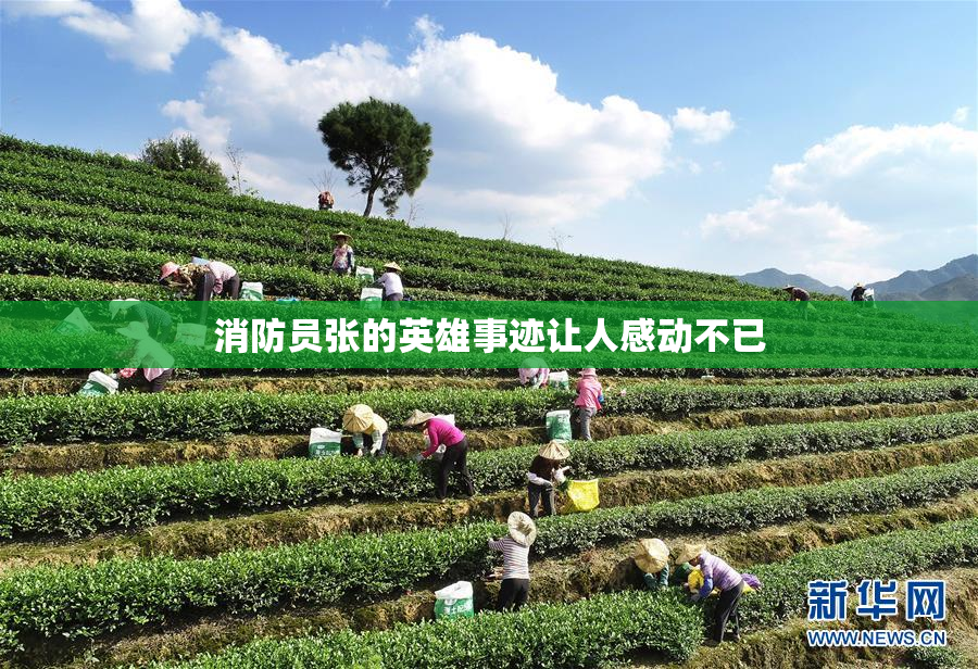 消防员张的英雄事迹让人感动不已