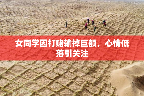 女同学因打赌输掉巨额，心情低落引关注