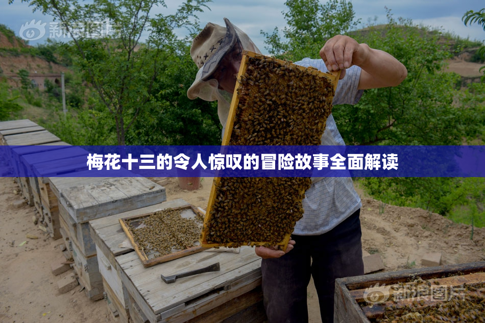 梅花十三的令人惊叹的冒险故事全面解读