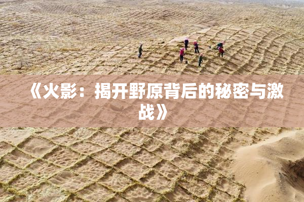 《火影：揭开野原背后的秘密与激战》