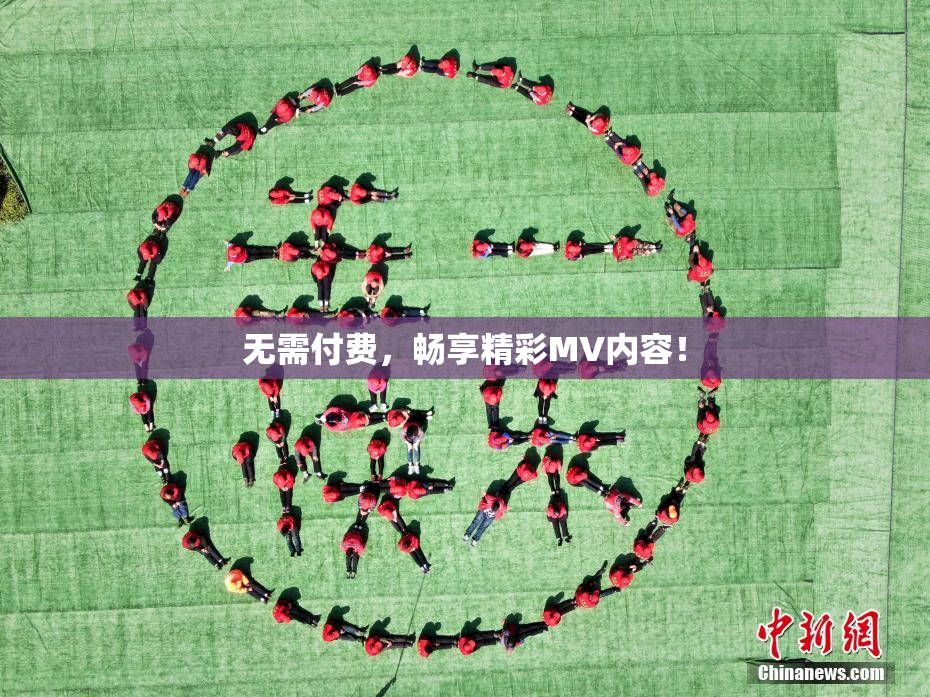 无需付费，畅享精彩MV内容！