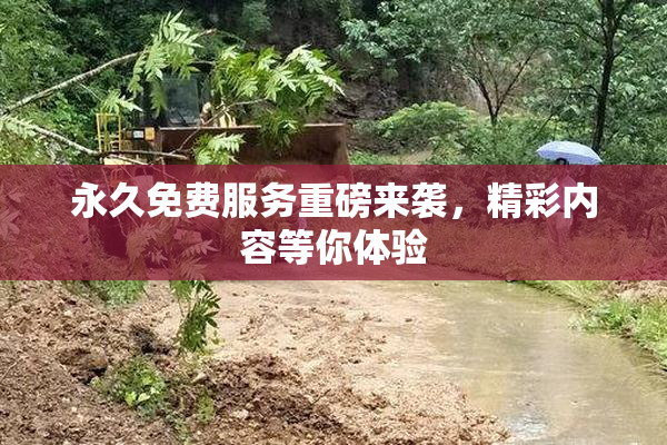永久免费服务重磅来袭，精彩内容等你体验