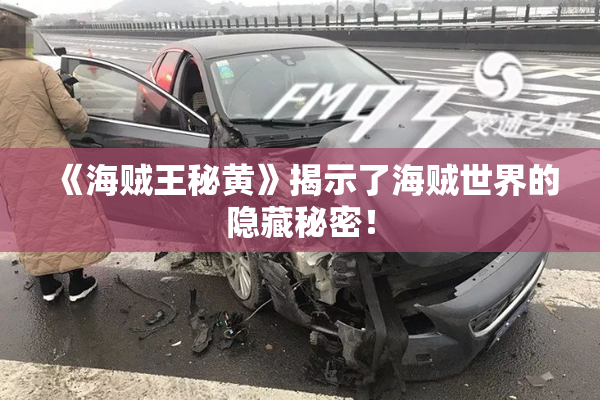 《海贼王秘黄》揭示了海贼世界的隐藏秘密！