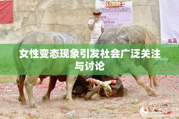 女性变态现象引发社会广泛关注与讨论