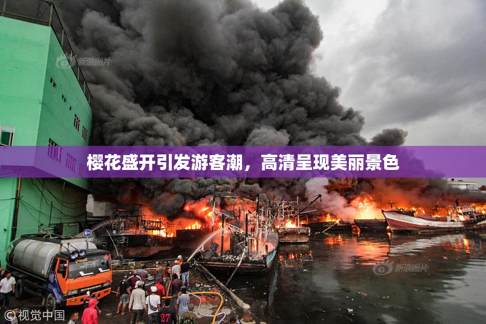 樱花盛开引发游客潮，高清呈现美丽景色