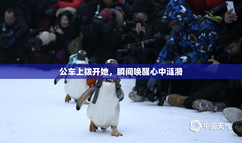 公车上拨开她，瞬间唤醒心中涟漪