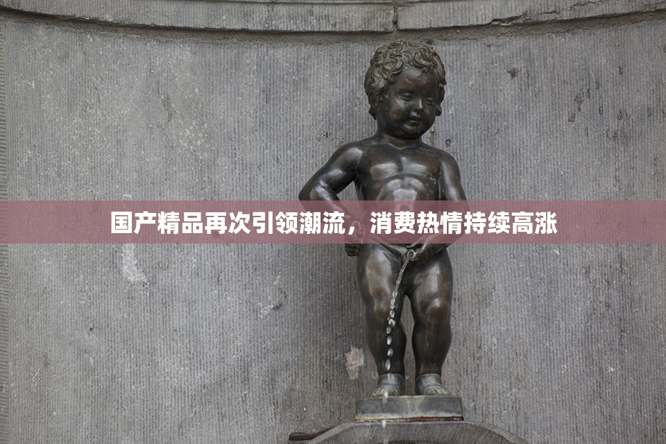 国产精品再次引领潮流，消费热情持续高涨