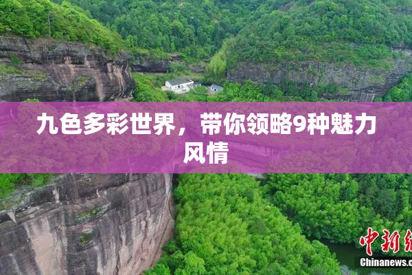 九色多彩世界，带你领略9种魅力风情