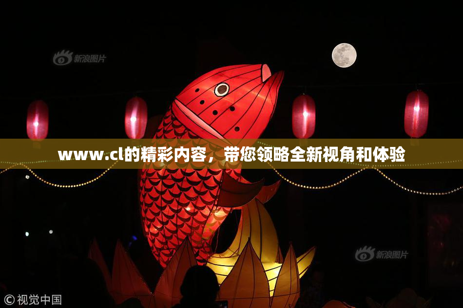 www.cl的精彩内容，带您领略全新视角和体验