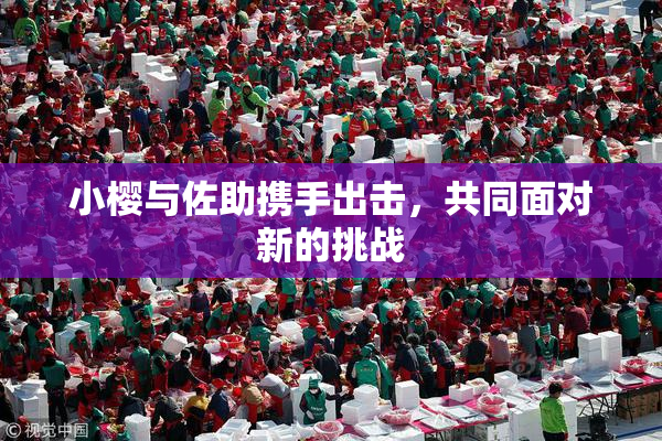 小樱与佐助携手出击，共同面对新的挑战